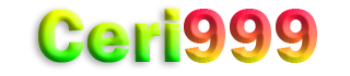CERI999